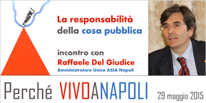 La responsabilità della cosa pubblica. Con Del Giudice